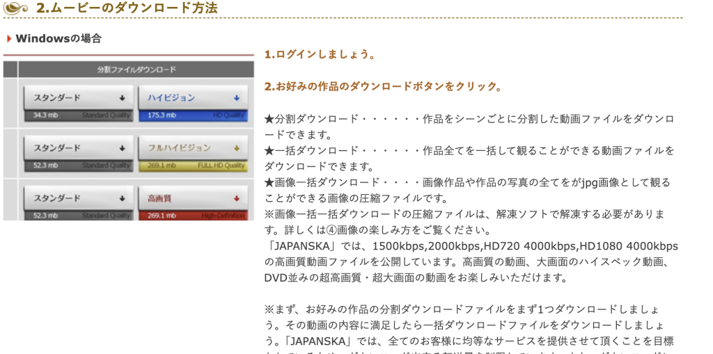 japanska（ヤパンスカ）で動画をダウンロードする方法や注意点を解説